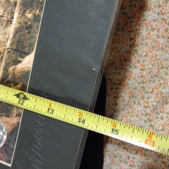 B1G1 Indiana Jones Portraits - Picture 11 of 13